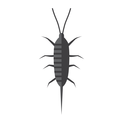 EARWIG