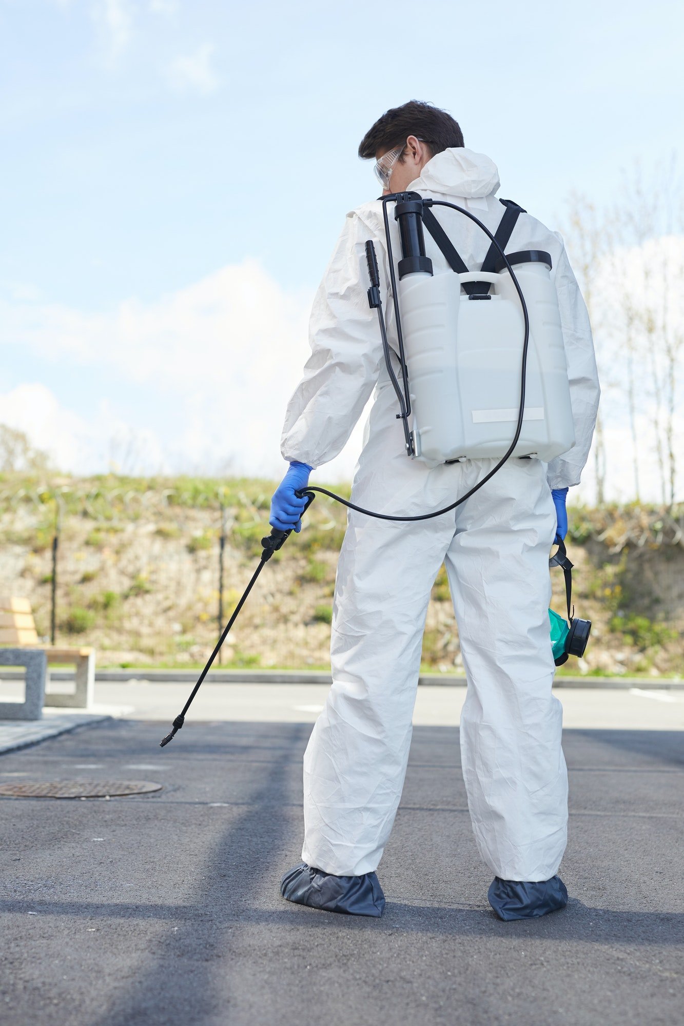 Pest Control Services Toronto