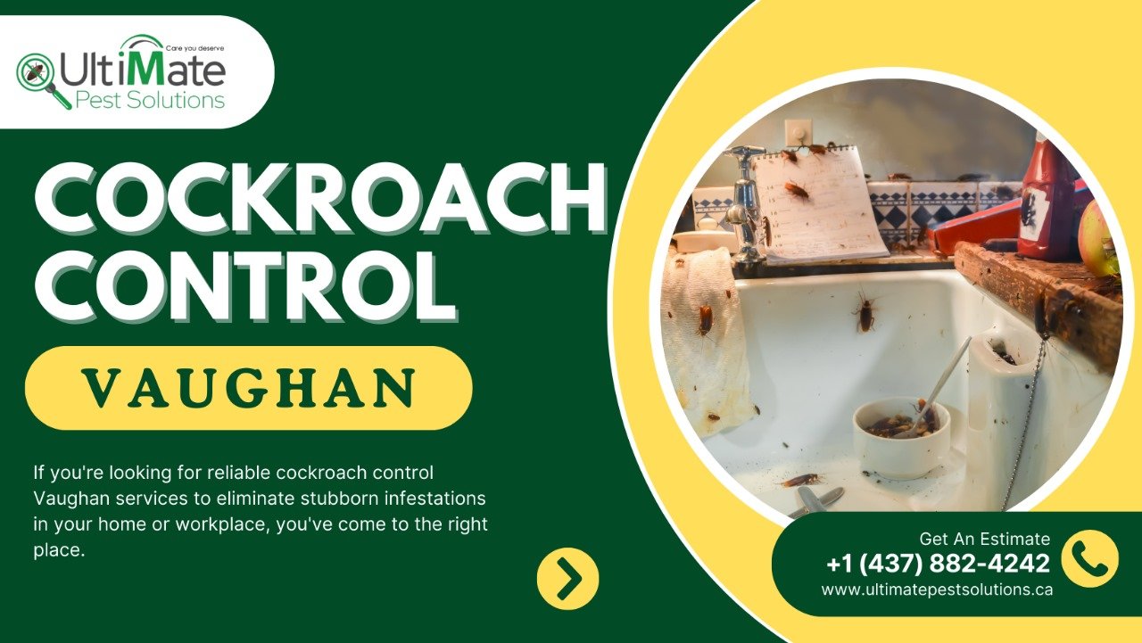 Cockroaches control Vaughan